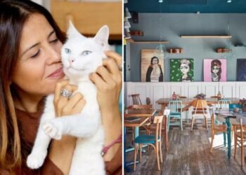 In the “cat bistro” that Angelina Jolie likes, Valentina de Matteis: “To open it I left my permanent job. Here only vegetable cuisine (and pastries)”