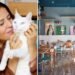In the “cat bistro” that Angelina Jolie likes, Valentina de Matteis: “To open it I left my permanent job. Here only vegetable cuisine (and pastries)”