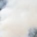 Alert for a controlled burn in Tarter