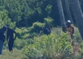 Headless, mutilated body found | News