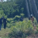 Headless, mutilated body found | News