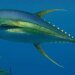 PM Napat to raise marine reserve plan with PNG, Fiji Prime Ministers | News