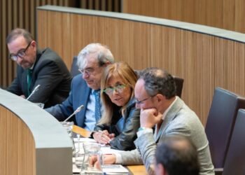 The Government of Andorra defends co-living as a “complementary option” and not as a structural solution to housing
