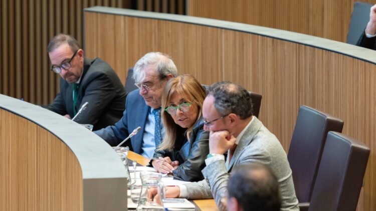 The Government of Andorra defends co-living as a “complementary option” and not as a structural solution to housing