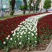 What will the weather be like in May? – nra.lv