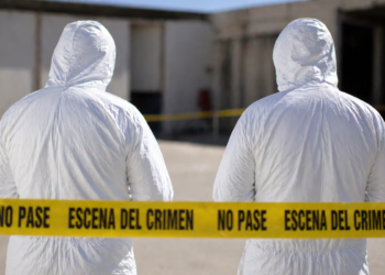 Shooting: a person is murdered in a restaurant in front of the Seafood Market