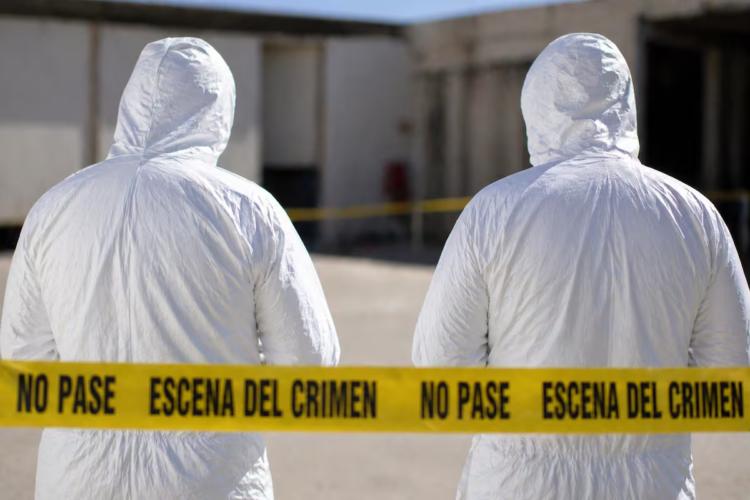 Shooting: a person is murdered in a restaurant in front of the Seafood Market