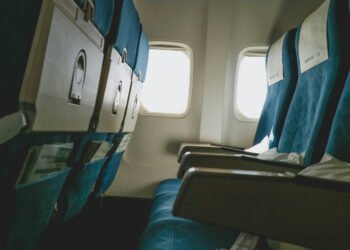 Hantavirus on the plane: WHO is tracking possible infected passengers