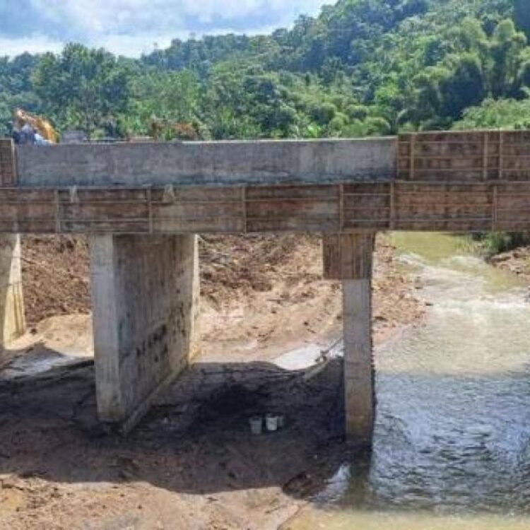 River training challenges further delay completion of Troy Bridge project | News