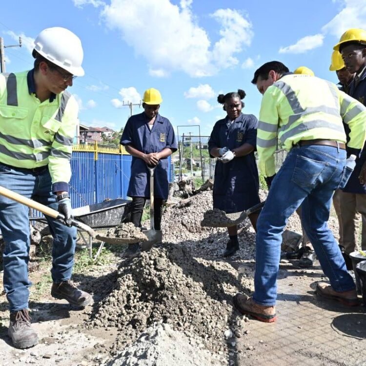 Caribbean Cement posts higher profit as hurricane recovery lifts demand, output | Business