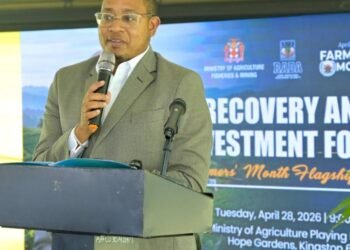 Gov’t targets yam recovery with $100m investment | News