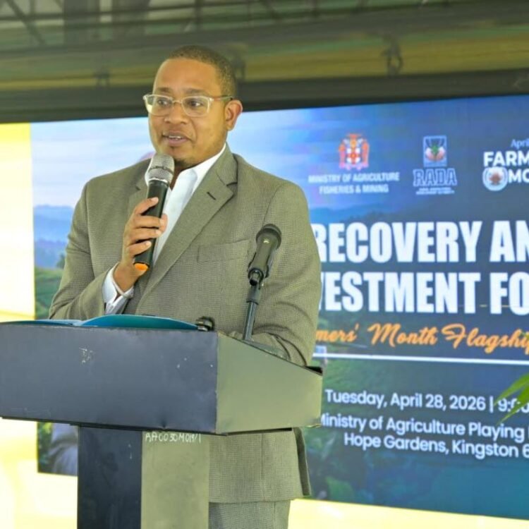 Gov’t targets yam recovery with $100m investment | News