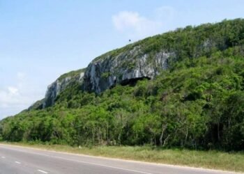 PERMIT VOIDED | News | Jamaica Gleaner