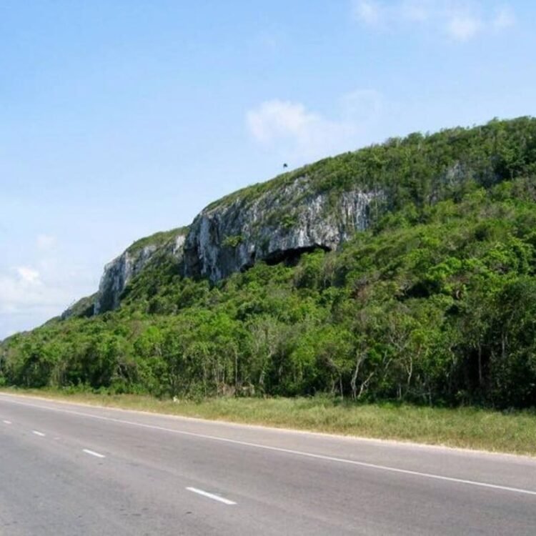 PERMIT VOIDED | News | Jamaica Gleaner
