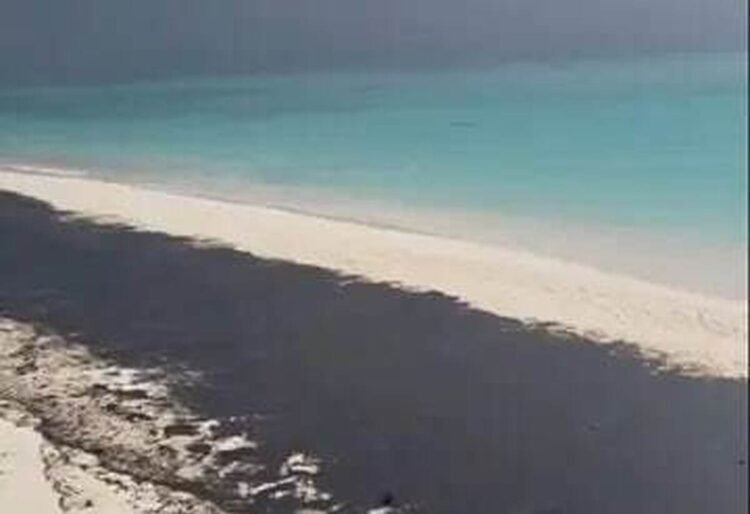 A strange image of Lawan Island/ Why did Lawan Beach turn black?