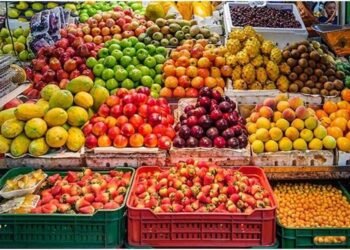 The price of all kinds of fruits and vegetables today, Monday, May 14, 1405