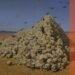 The history of the painting Apotheosis of War by Vasily Vereshchagin