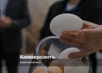 Poultry farmers propose to introduce a price bracket for C1 eggs