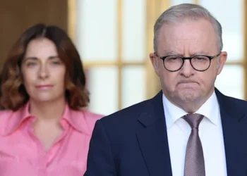 News Bargaining Incentive: Meta, Google, TikTok revenue set to be hit with 2 per cent charge if news deals shunned, says Anthony Albanese