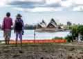 State of Bradfield Park South, under northern pylon of Sydney Harbour Bridge, raises concern and complaint
