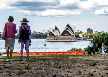 State of Bradfield Park South, under northern pylon of Sydney Harbour Bridge, raises concern and complaint