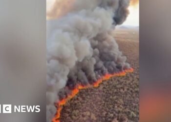 Wildfire tears through hundreds of acres in Arizona