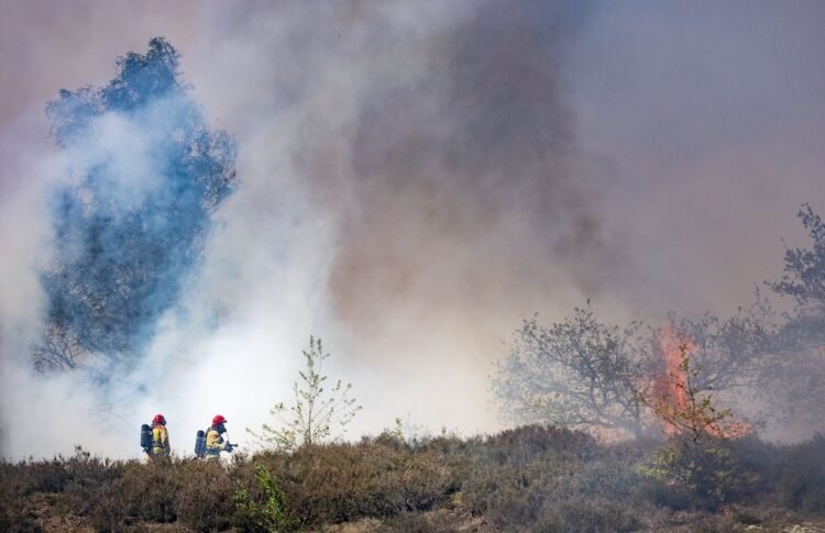 More fires break out at Dutch military training grounds