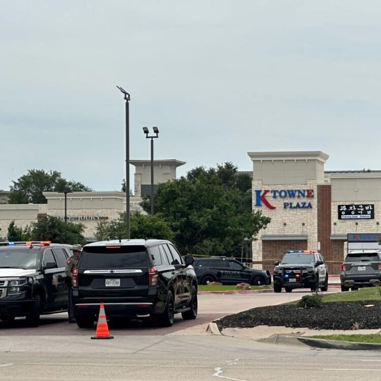 2 killed and 3 injured in shootings near a shopping mall north of Dallas, police say | World News