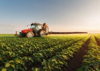 Generation Green: Soon a platform to strengthen the management of the agricultural sector – Today Morocco