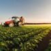 Generation Green: Soon a platform to strengthen the management of the agricultural sector – Today Morocco