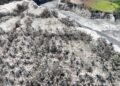 Area covered by ashfall in Albay ‘around half the size’ of QC