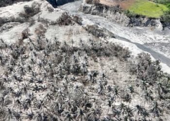 Area covered by ashfall in Albay ‘around half the size’ of QC