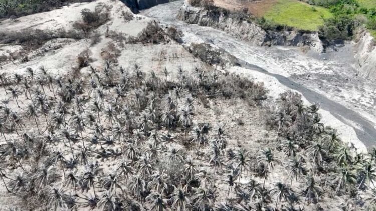 Area covered by ashfall in Albay ‘around half the size’ of QC