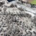Area covered by ashfall in Albay ‘around half the size’ of QC