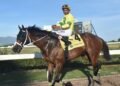 Legacy Isle makes mockery of Reggae Trophy field | Sports