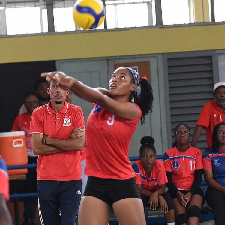 Taylor synonymous with Knox volleyball dominance | Sports