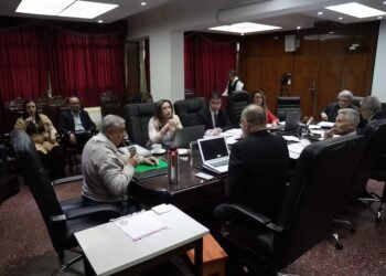 IPS, in crisis: they request reports on the purchase of medical equipment – National