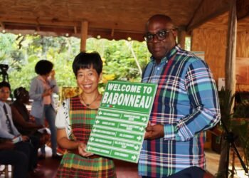 Babonneau targeted for boost under Community Business Project