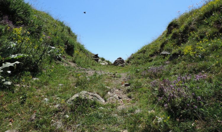 Czech’s engine broke down on May 1, he got stuck in the mountains near Stramashevo, so he had to be rescued by the police