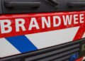 Firefighters tackle large wildfire in The Hague coastal dunes