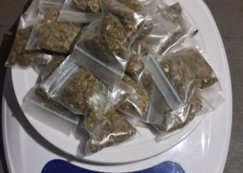 20-year-old busted with cannabis in Rupununi operation