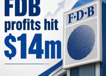 FDB makes $14.18m profit in 2025, discloses $1.39m pay for top executives