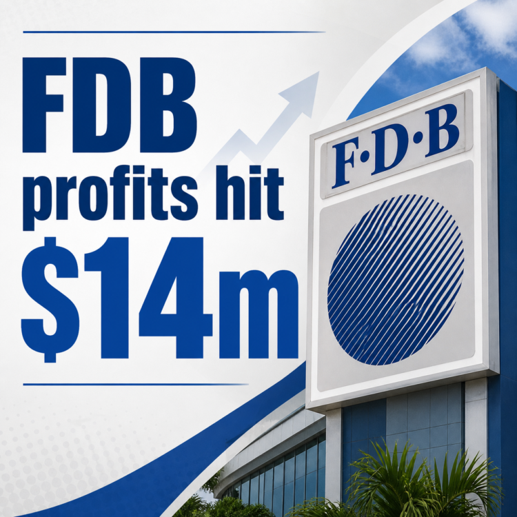 FDB makes $14.18m profit in 2025, discloses $1.39m pay for top executives