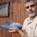 San Marino – Casadei takes Brindisi, fourth victory of the season for his pigeons in a 592 kilometer sky marathon