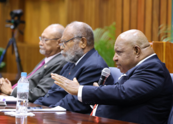 Committees are there to scrutitinise government