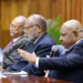 Committees are there to scrutitinise government