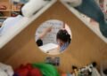 Plan for new ‘inclusive special classes’ is anything but inclusive – The Irish Times