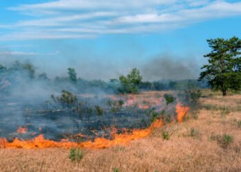 Podcast: The Ready … Aim … Wildfire! Edition