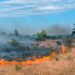 Podcast: The Ready … Aim … Wildfire! Edition