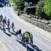 Tageblatt.lu | May customs | “Meekranz” for May 1st: What is allowed in the forest – and what is not